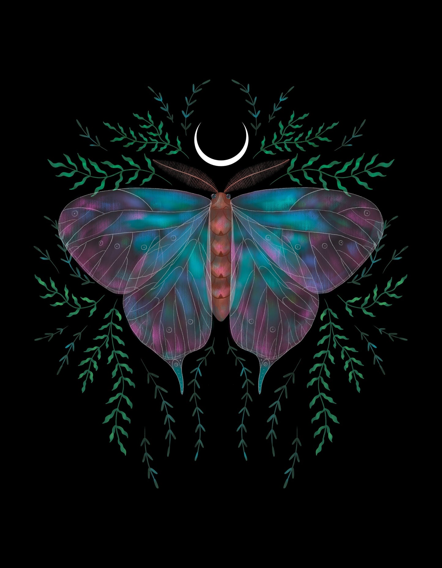 Colourful Butterfly Graphic