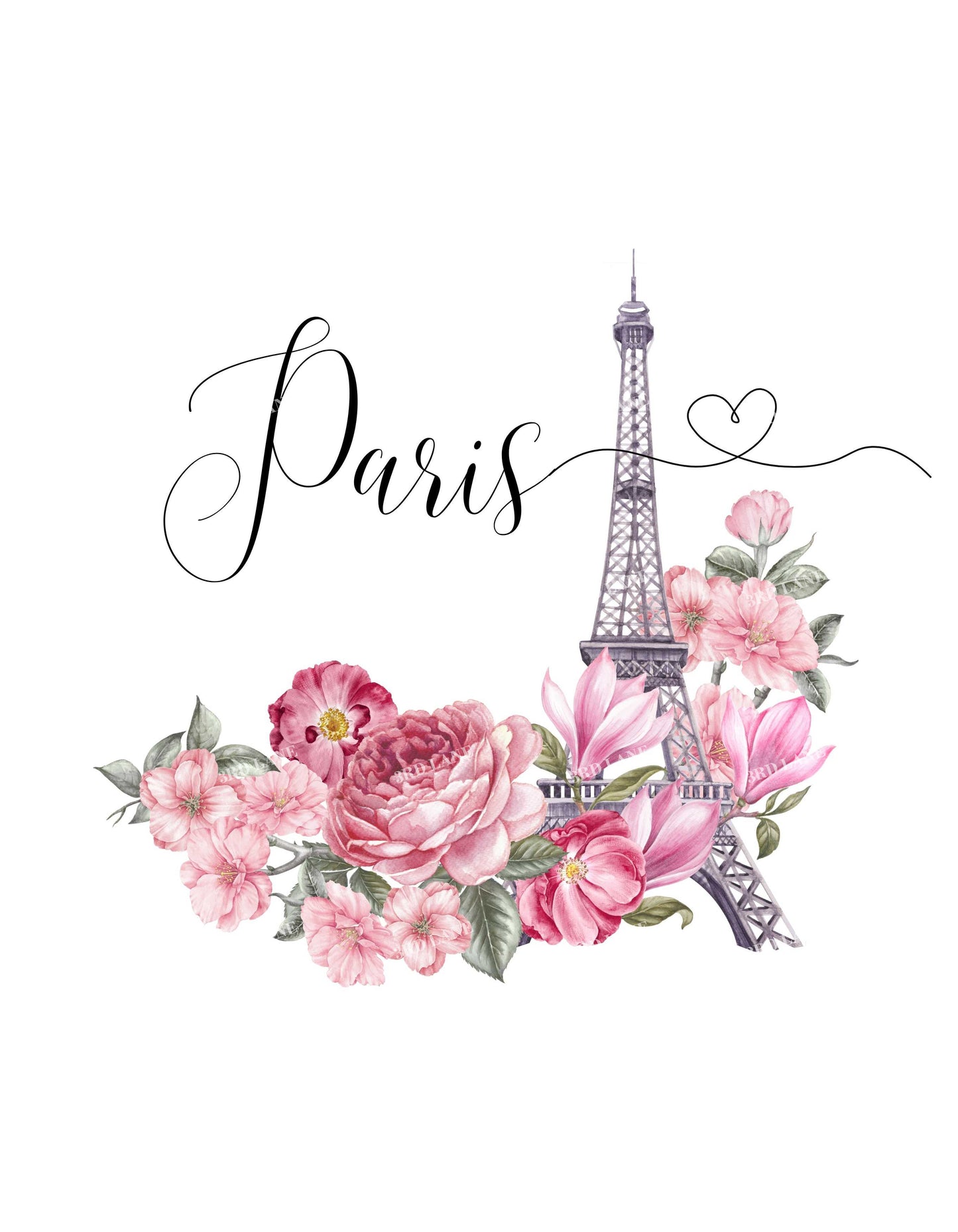 White Paris Graphic