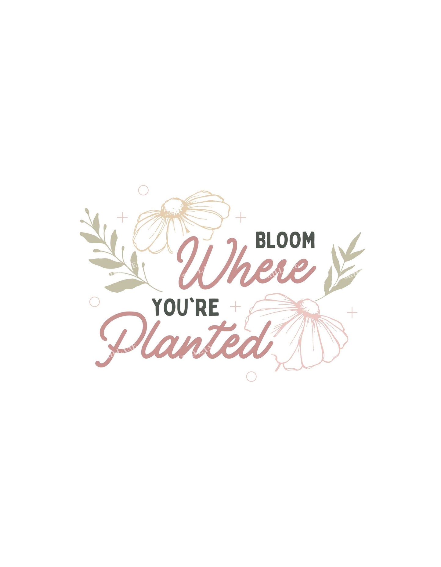 White Blooms Where You Planted Graphic