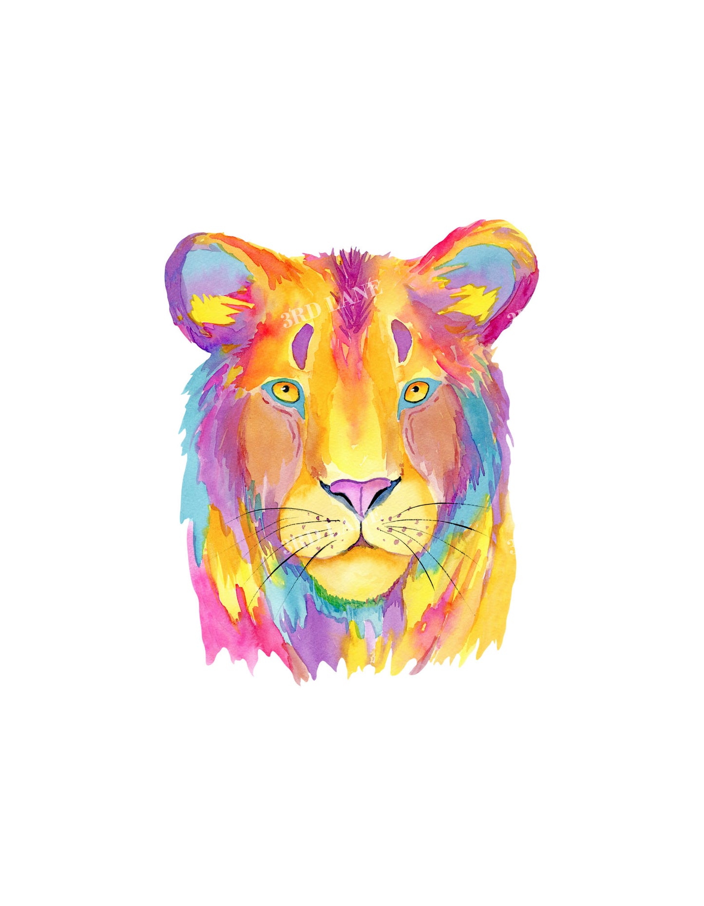 Coral Lion Graphic