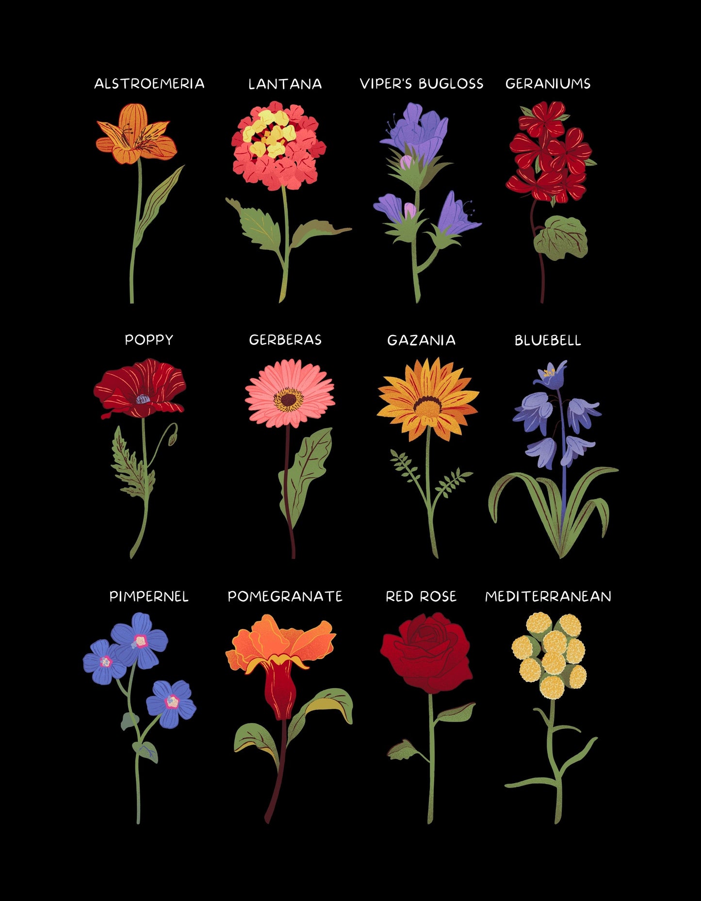 Flower Varity Graphic