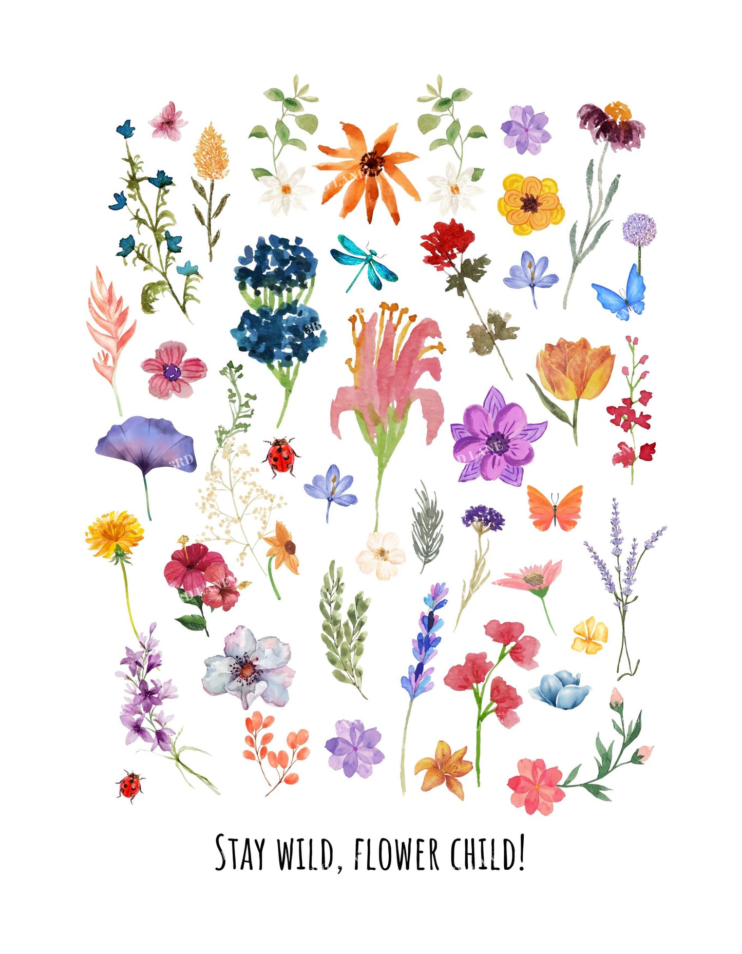 White Stay Wild, Flower Childe Graphic